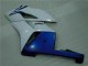 04-05 White Blue Honda CBR1000RR Motorcycle Fairing 04-05 White Blue Honda CBR1000RR Motorcycle Fairing